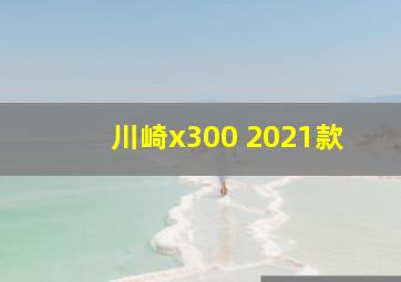 川崎x300 2021款